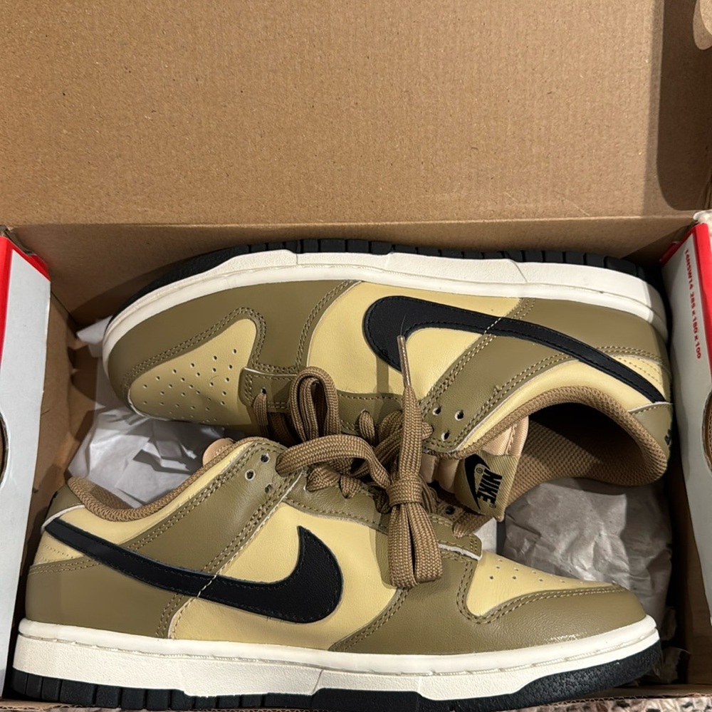 Brand new in box - Nike dunk low in driftwood